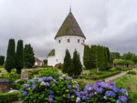 Sankt Ols Rundkirche mit Hortensienbüschen am Friedhof - Olsker